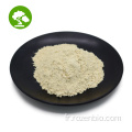 100% naturel Garcinia Cambogia Powder HCA